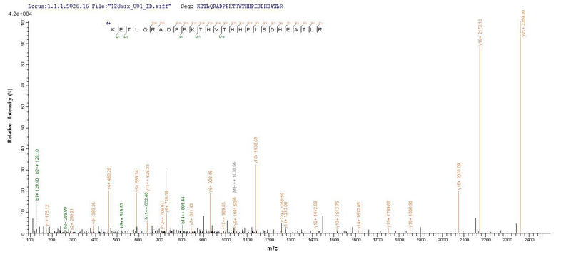 Based on the SEQUEST from database of E.coli host and target protein, the LC-MS/MS Analysis result of this product could indicate that this peptide derived from E.coli-expressed Homo sapiens (Human) HLA-B.Recombinant Human Hla-B Protein (HLA-B) Protein (His)