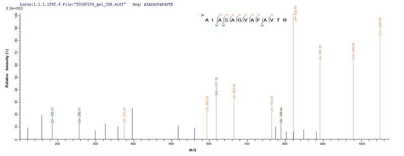Based on the SEQUEST from database of E.coli host and target protein, the LC-MS/MS Analysis result of this product could indicate that this peptide derived from E.coli-expressed Homo sapiens (Human) WNT3A.Recombinant Human Protein Wnt-3A (WNT3A) Protein (His)