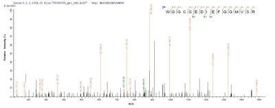 Based on the SEQUEST from database of E.coli host and target protein, the LC-MS/MS Analysis result of this product could indicate that this peptide derived from E.coli-expressed Homo sapiens (Human) WNT3A.Recombinant Human Protein Wnt-3A (WNT3A) Protein (His)