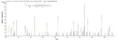 Based on the SEQUEST from database of E.coli host and target protein, the LC-MS/MS Analysis result of this product could indicate that this peptide derived from E.coli-expressed Homo sapiens (Human) HPRT1.Recombinant Human Hypoxanthine-Guanine Phosphoribosyltransferase (HPRT1) Protein (His)