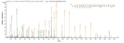 Based on the SEQUEST from database of E.coli host and target protein, the LC-MS/MS Analysis result of this product could indicate that this peptide derived from E.coli-expressed Homo sapiens (Human) HPRT1.Recombinant Human Hypoxanthine-Guanine Phosphoribosyltransferase (HPRT1) Protein (His)