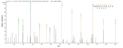 Based on the SEQUEST from database of E.coli host and target protein, the LC-MS/MS Analysis result of this product could indicate that this peptide derived from E.coli-expressed Escherichia coli (strain K12) rho.
