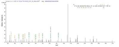 Based on the SEQUEST from database of E.coli host and target protein, the LC-MS/MS Analysis result of this product could indicate that this peptide derived from E.coli-expressed Rattus norvegicus (Rat) Vcam1.Recombinant Rat Vascular Cell Adhesion Protein 1 (VCAM1) Protein (His)