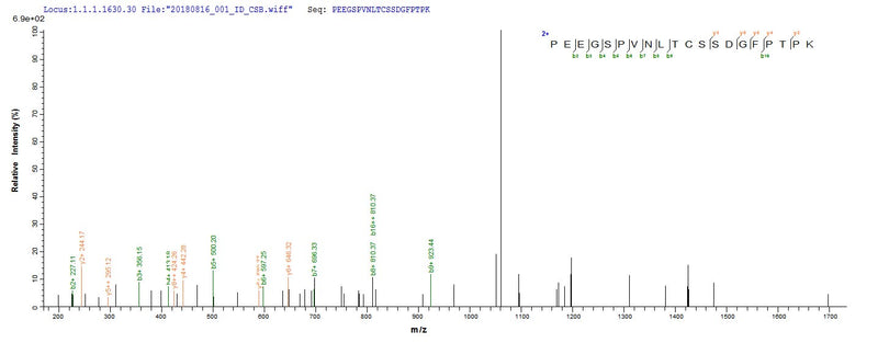 Based on the SEQUEST from database of E.coli host and target protein, the LC-MS/MS Analysis result of this product could indicate that this peptide derived from E.coli-expressed Rattus norvegicus (Rat) Vcam1.Recombinant Rat Vascular Cell Adhesion Protein 1 (VCAM1) Protein (His)