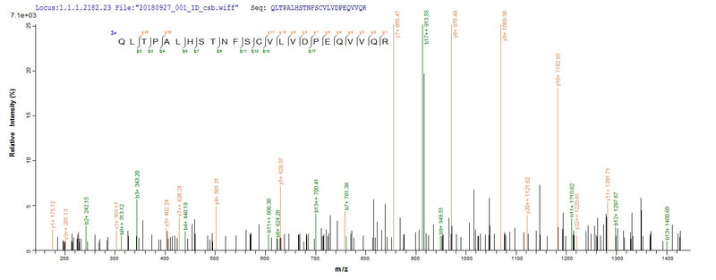 Based on the SEQUEST from database of E.coli host and target protein, the LC-MS/MS Analysis result of this product could indicate that this peptide derived from E.coli-expressed Homo sapiens (Human) IL18BP.Recombinant Human Interleukin-18-Binding Protein (IL18BP) Protein (His)