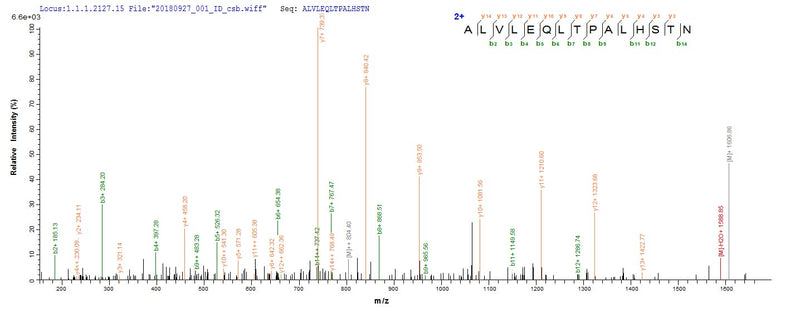 Based on the SEQUEST from database of E.coli host and target protein, the LC-MS/MS Analysis result of this product could indicate that this peptide derived from E.coli-expressed Homo sapiens (Human) IL18BP.Recombinant Human Interleukin-18-Binding Protein (IL18BP) Protein (His)