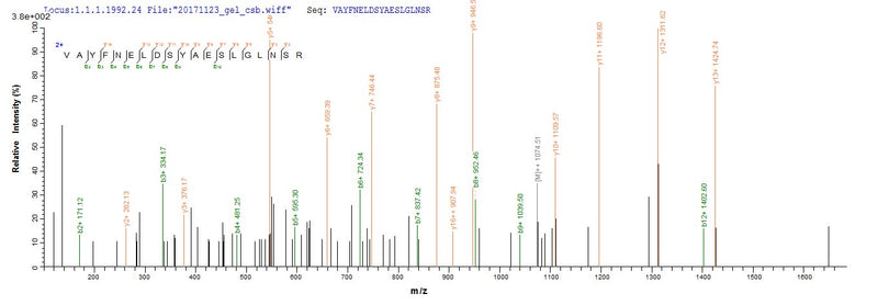 Based on the SEQUEST from database of E.coli host and target protein, the LC-MS/MS Analysis result of this product could indicate that this peptide derived from E.coli-expressed Escherichia coli (strain K12) ugd.Recombinant E.Coli Udp-Glucose 6-Dehydrogenase (UGD) Protein (His)