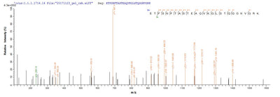 Based on the SEQUEST from database of E.coli host and target protein, the LC-MS/MS Analysis result of this product could indicate that this peptide derived from E.coli-expressed Homo sapiens (Human) ASGR1.Recombinant Human Asialoglycoprotein Receptor 1 (ASGR1) Protein (His)