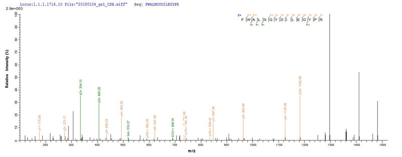 Based on the SEQUEST from database of E.coli host and target protein, the LC-MS/MS Analysis result of this product could indicate that this peptide derived from E.coli-expressed Mus musculus (Mouse) Mmp13.Recombinant Mouse Collagenase 3 (MMP13) Protein (His)
