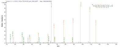 Based on the SEQUEST from database of E.coli host and target protein, the LC-MS/MS Analysis result of this product could indicate that this peptide derived from E.coli-expressed Mus musculus (Mouse) Mmp13.Recombinant Mouse Collagenase 3 (MMP13) Protein (His)