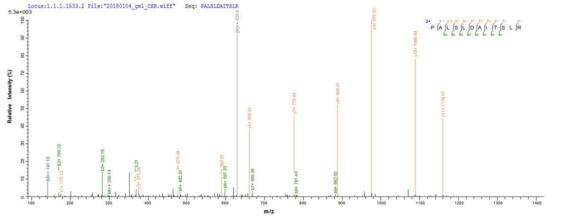 Based on the SEQUEST from database of E.coli host and target protein, the LC-MS/MS Analysis result of this product could indicate that this peptide derived from E.coli-expressed Mus musculus (Mouse) Mmp13.Recombinant Mouse Collagenase 3 (MMP13) Protein (His)