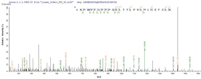 Based on the SEQUEST from database of E.coli host and target protein, the LC-MS/MS Analysis result of this product could indicate that this peptide derived from E.coli-expressed Homo sapiens (Human) KAT5.Recombinant Human Histone Acetyltransferase Kat5 (KAT5) Protein (His)