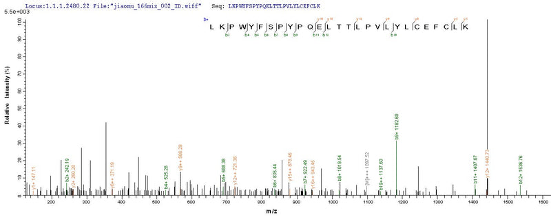 Based on the SEQUEST from database of E.coli host and target protein, the LC-MS/MS Analysis result of this product could indicate that this peptide derived from E.coli-expressed Homo sapiens (Human) KAT5.Recombinant Human Histone Acetyltransferase Kat5 (KAT5) Protein (His)