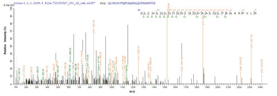 Based on the SEQUEST from database of E.coli host and target protein, the LC-MS/MS Analysis result of this product could indicate that this peptide derived from E.coli-expressed Escherichia coli (strain K12) recQ.Recombinant E.Coli Atp-Dependent Dna Helicase Recq (RECQ) Protein (His)