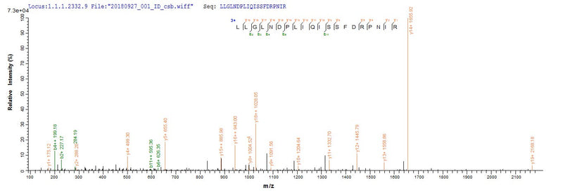 Based on the SEQUEST from database of E.coli host and target protein, the LC-MS/MS Analysis result of this product could indicate that this peptide derived from E.coli-expressed Escherichia coli (strain K12) recQ.Recombinant E.Coli Atp-Dependent Dna Helicase Recq (RECQ) Protein (His)