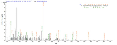 Based on the SEQUEST from database of E.coli host and target protein, the LC-MS/MS Analysis result of this product could indicate that this peptide derived from E.coli-expressed Mycobacterium tuberculosis fbpA.Recombinant Mycobacterium Tuberculosis Diacylglycerol Acyltransferase/Mycolyltransferase Ag85A (FBPA) Protein (His)