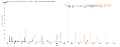 Based on the SEQUEST from database of E.coli host and target protein, the LC-MS/MS Analysis result of this product could indicate that this peptide derived from E.coli-expressed Mycobacterium tuberculosis fbpA.Recombinant Mycobacterium Tuberculosis Diacylglycerol Acyltransferase/Mycolyltransferase Ag85A (FBPA) Protein (His)