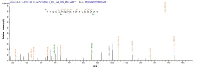 Based on the SEQUEST from database of Yeast host and target protein, the LC-MS/MS Analysis result of this product could indicate that this peptide derived from Yeast-expressed Mus musculus (Mouse) Alb.Recombinant Mouse Albumin (ALB) Protein (His)