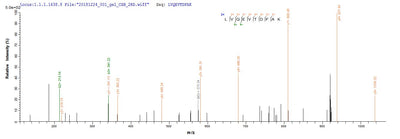 Based on the SEQUEST from database of Yeast host and target protein, the LC-MS/MS Analysis result of this product could indicate that this peptide derived from Yeast-expressed Mus musculus (Mouse) Alb.Recombinant Mouse Albumin (ALB) Protein (His)