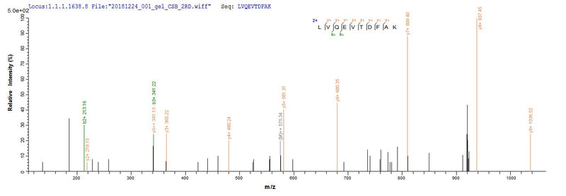 Based on the SEQUEST from database of Yeast host and target protein, the LC-MS/MS Analysis result of this product could indicate that this peptide derived from Yeast-expressed Mus musculus (Mouse) Alb.Recombinant Mouse Albumin (ALB) Protein (His)
