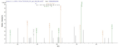 Based on the SEQUEST from database of Yeast host and target protein, the LC-MS/MS Analysis result of this product could indicate that this peptide derived from Yeast-expressed Homo sapiens (Human) ATP5F1A.