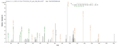 Based on the SEQUEST from database of Yeast host and target protein, the LC-MS/MS Analysis result of this product could indicate that this peptide derived from Yeast-expressed Homo sapiens (Human) ATP5F1A.