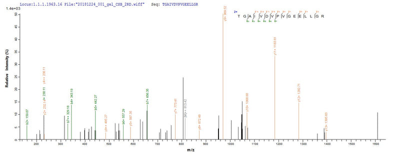 Based on the SEQUEST from database of Yeast host and target protein, the LC-MS/MS Analysis result of this product could indicate that this peptide derived from Yeast-expressed Homo sapiens (Human) ATP5F1A.