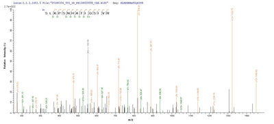 Based on the SEQUEST from database of Yeast host and target protein, the LC-MS/MS Analysis result of this product could indicate that this peptide derived from Yeast-expressed Homo sapiens (Human) BMP3.Recombinant Human Bone Morphogenetic Protein 3 (BMP3) Protein (His&Myc)