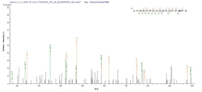 Based on the SEQUEST from database of Yeast host and target protein, the LC-MS/MS Analysis result of this product could indicate that this peptide derived from Yeast-expressed Homo sapiens (Human) BMP3.Recombinant Human Bone Morphogenetic Protein 3 (BMP3) Protein (His&Myc)