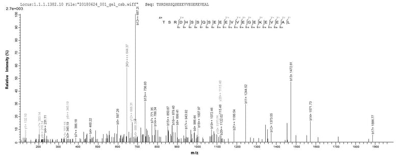 Based on the SEQUEST from database of Yeast host and target protein, the LC-MS/MS Analysis result of this product could indicate that this peptide derived from Yeast-expressed Homo sapiens (Human) BNIP3L.
