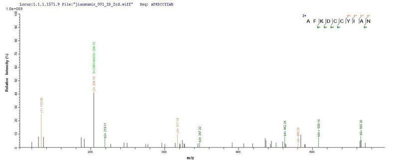 Based on the SEQUEST from database of Yeast host and target protein, the LC-MS/MS Analysis result of this product could indicate that this peptide derived from Yeast-expressed Sus scrofa (Pig) C5.Recombinant Pig Complement C5A Anaphylatoxin (C5) Protein (His)