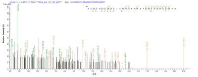 Based on the SEQUEST from database of Yeast host and target protein, the LC-MS/MS Analysis result of this product could indicate that this peptide derived from Yeast-expressed Homo sapiens (Human) CA12.Recombinant Human Carbonic Anhydrase 12 (CA12) Protein (His)