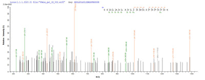 Based on the SEQUEST from database of Yeast host and target protein, the LC-MS/MS Analysis result of this product could indicate that this peptide derived from Yeast-expressed Homo sapiens (Human) CA12.Recombinant Human Carbonic Anhydrase 12 (CA12) Protein (His)