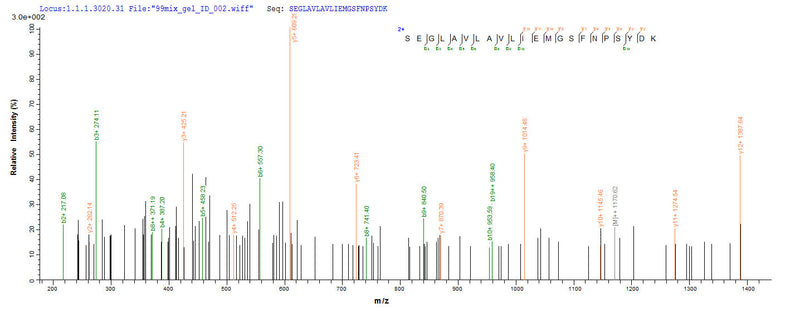 Based on the SEQUEST from database of Yeast host and target protein, the LC-MS/MS Analysis result of this product could indicate that this peptide derived from Yeast-expressed Homo sapiens (Human) CA12.Recombinant Human Carbonic Anhydrase 12 (CA12) Protein (His)