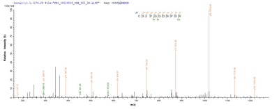 Based on the SEQUEST from database of Yeast host and target protein, the LC-MS/MS Analysis result of this product could indicate that this peptide derived from Yeast-expressed Mus musculus (Mouse) Ccr5.Recombinant Mouse C-C Chemokine Receptor Type 5 (CCR5) Protein (His/Tag-Free)