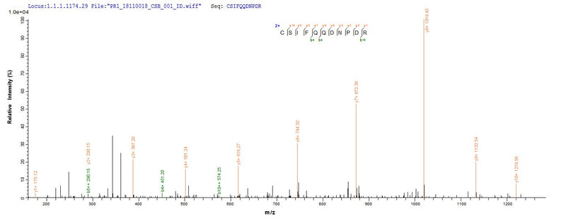 Based on the SEQUEST from database of Yeast host and target protein, the LC-MS/MS Analysis result of this product could indicate that this peptide derived from Yeast-expressed Mus musculus (Mouse) Ccr5.Recombinant Mouse C-C Chemokine Receptor Type 5 (CCR5) Protein (His/Tag-Free)