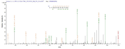 Based on the SEQUEST from database of Yeast host and target protein, the LC-MS/MS Analysis result of this product could indicate that this peptide derived from Yeast-expressed Mus musculus (Mouse) Ccr5.Recombinant Mouse C-C Chemokine Receptor Type 5 (CCR5) Protein (His/Tag-Free)