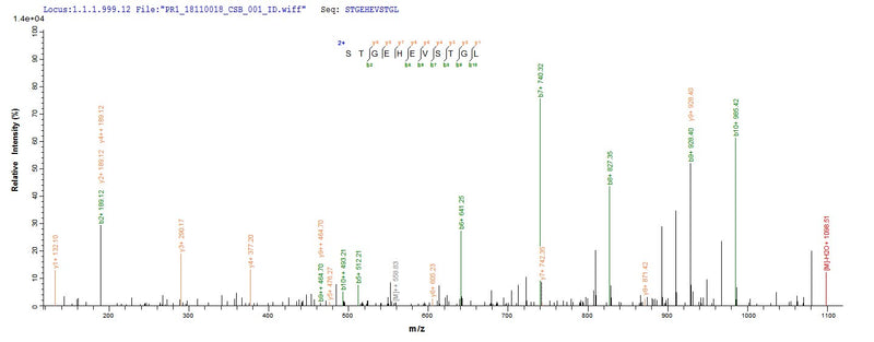 Based on the SEQUEST from database of Yeast host and target protein, the LC-MS/MS Analysis result of this product could indicate that this peptide derived from Yeast-expressed Mus musculus (Mouse) Ccr5.Recombinant Mouse C-C Chemokine Receptor Type 5 (CCR5) Protein (His/Tag-Free)