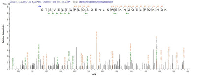 Based on the SEQUEST from database of Yeast host and target protein, the LC-MS/MS Analysis result of this product could indicate that this peptide derived from Yeast-expressed Mus musculus (Mouse) Cd3e.Recombinant Mouse T-Cell Surface Glycoprotein Cd3 Epsilon Chain (CD3E) Protein (His)
