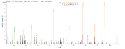 Based on the SEQUEST from database of Yeast host and target protein, the LC-MS/MS Analysis result of this product could indicate that this peptide derived from Yeast-expressed Homo sapiens (Human) CD40LG.Recombinant Human Cd40 Ligand (CD40LG) Protein (His)