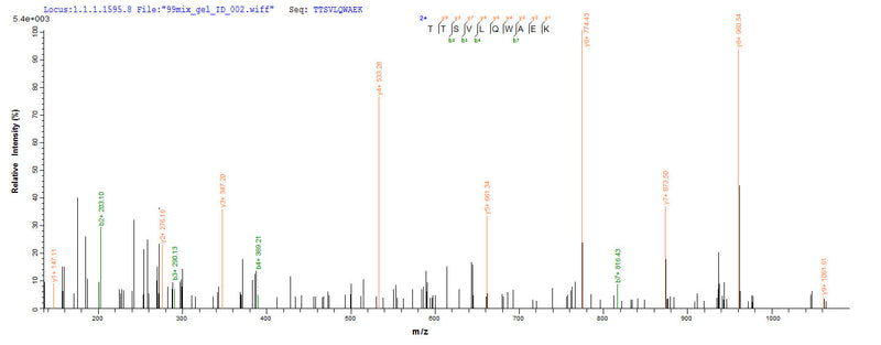 Based on the SEQUEST from database of Yeast host and target protein, the LC-MS/MS Analysis result of this product could indicate that this peptide derived from Yeast-expressed Homo sapiens (Human) CD40LG.Recombinant Human Cd40 Ligand (CD40LG) Protein (His)