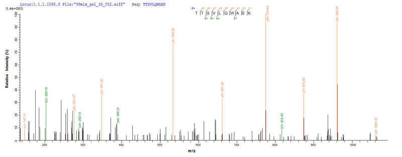 Based on the SEQUEST from database of Yeast host and target protein, the LC-MS/MS Analysis result of this product could indicate that this peptide derived from Yeast-expressed Homo sapiens (Human) CD40LG.