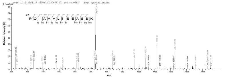 Based on the SEQUEST from database of Yeast host and target protein, the LC-MS/MS Analysis result of this product could indicate that this peptide derived from Yeast-expressed Oryctolagus cuniculus (Rabbit) CD40LG.