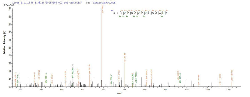 Based on the SEQUEST from database of Yeast host and target protein, the LC-MS/MS Analysis result of this product could indicate that this peptide derived from Yeast-expressed Homo sapiens (Human) CD63.Recombinant Human Cd63 Antigen (CD63) Protein (His)