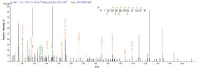 Based on the SEQUEST from database of Yeast host and target protein, the LC-MS/MS Analysis result of this product could indicate that this peptide derived from Yeast-expressed Homo sapiens (Human) CD8A.Recombinant Human T-Cell Surface Glycoprotein Cd8 Alpha Chain (CD8A) Protein (His)