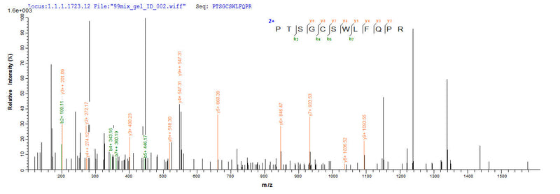 Based on the SEQUEST from database of Yeast host and target protein, the LC-MS/MS Analysis result of this product could indicate that this peptide derived from Yeast-expressed Homo sapiens (Human) CD8A.