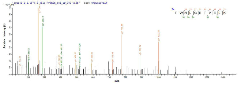 Based on the SEQUEST from database of Yeast host and target protein, the LC-MS/MS Analysis result of this product could indicate that this peptide derived from Yeast-expressed Homo sapiens (Human) CD8A.Recombinant Human T-Cell Surface Glycoprotein Cd8 Alpha Chain (CD8A) Protein (His)
