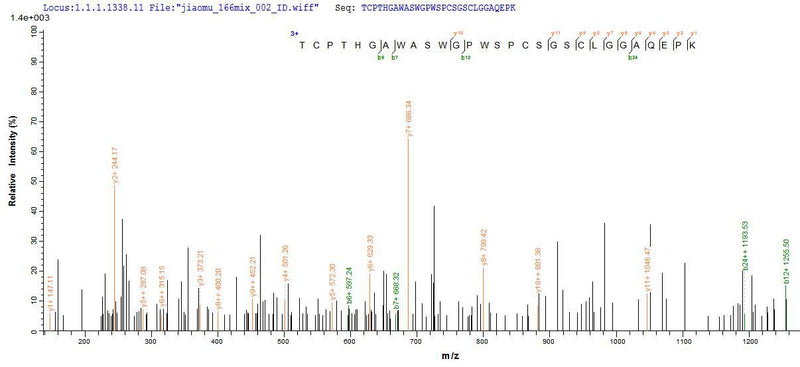 Based on the SEQUEST from database of Yeast host and target protein, the LC-MS/MS Analysis result of this product could indicate that this peptide derived from Yeast-expressed Mus musculus (Mouse) Cfp.Recombinant Mouse Properdin (CFP) Protein (His)