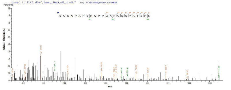 Based on the SEQUEST from database of Yeast host and target protein, the LC-MS/MS Analysis result of this product could indicate that this peptide derived from Yeast-expressed Mus musculus (Mouse) Cfp.Recombinant Mouse Properdin (CFP) Protein (His)