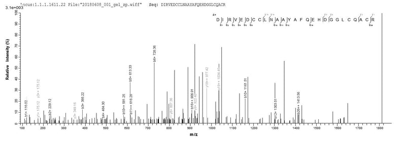 Based on the SEQUEST from database of Yeast host and target protein, the LC-MS/MS Analysis result of this product could indicate that this peptide derived from Yeast-expressed Mus musculus (Mouse) Cfp.Recombinant Mouse Properdin (CFP) Protein (Myc&His)